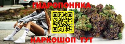 PSILOCYBIN Бугуруслан