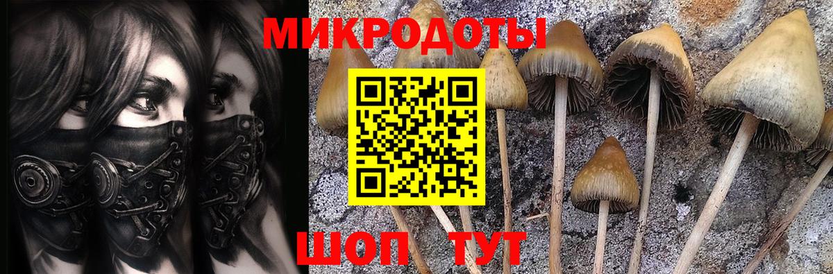 Галлюциногенные грибы Cubensis  Вход с VPN  Щёлково  Псилоцибиновые грибы мухоморы 