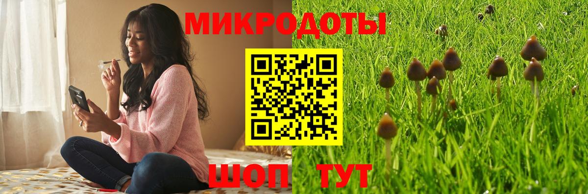 Галлюциногенные грибы GOLDEN TEACHER Щёлково